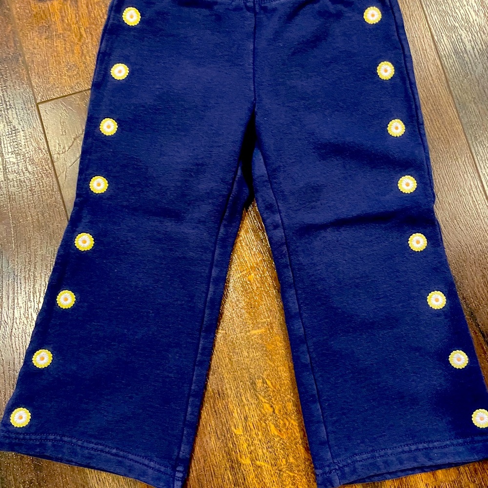 GYMBOREE DAISY DAYS Pant Size 3